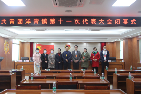 共青團洋青鎮第十一次代表大會勝利召開787.png