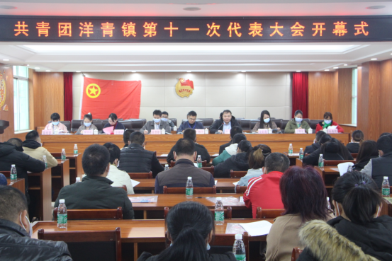 共青團洋青鎮第十一次代表大會勝利召開148.png