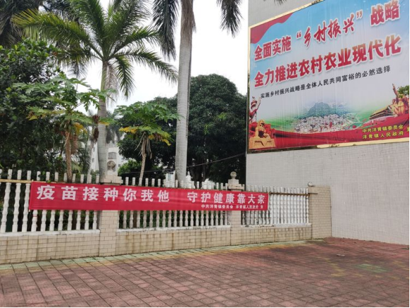 洋青鎮：疫苗接種再發力 鄉村振興兩不誤471.png