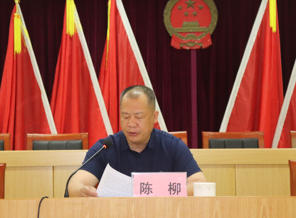建新鎮(zhèn)黨委書(shū)記陳柳講話.JPG