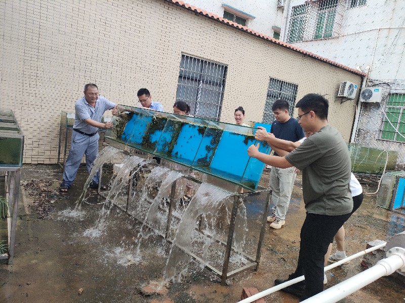 倒積水4.jpg