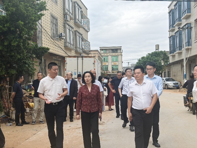 圖2：越秀區政協郭環主席深入樂民村開展實地調研.jpg